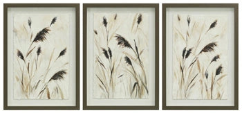 Five Star Furniture - Honslow Wall Art (Set of 3)