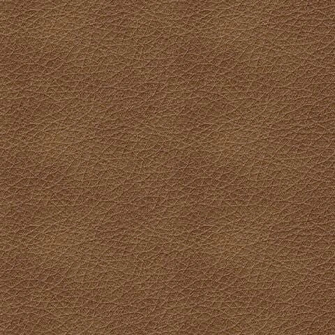 Five Star Furniture - Bolsena Sofa Sleeper