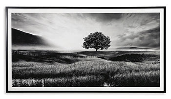 Five Star Furniture - Deborland Wall Art