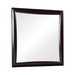 Five Star Furniture - Phoenix Square Dresser Mirror Deep Cappuccino image