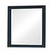 Five Star Furniture - Sandy Beach Vertical Dresser Mirror Black image