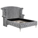 Five Star Furniture - Deanna Eastern King Tufted Upholstered Bed Grey image