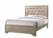 Five Star Furniture - Beaumont Upholstered Eastern King Bed Champagne image