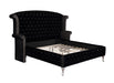 Five Star Furniture - Deanna Queen Tufted Upholstered Bed Black image