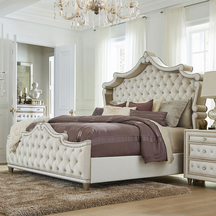 Five Star Furniture - Antonella Panel Bed