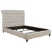 Five Star Furniture - Devon ufted Upholstered Full Bed Beige image