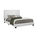 Five Star Furniture - Mauve Full Upholstered Bed White image