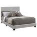 Five Star Furniture - Dorian Upholstered Eastern King Bed Grey image