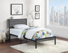 Five Star Furniture - Ricky Platform Bed image