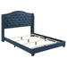 Five Star Furniture - Sonoma Full Camel Headboard Bed with Nailhead Trim Blue image