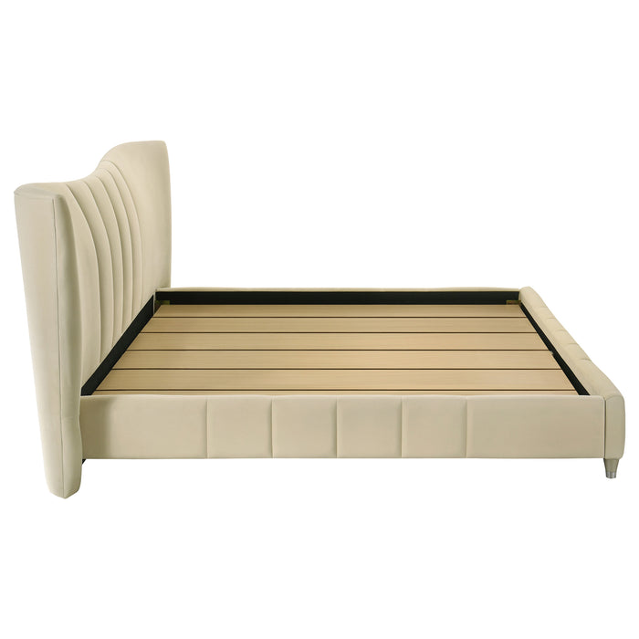 Five Star Furniture - Evelyn Panel Platform Bed