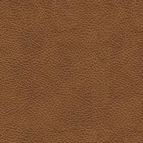 Five Star Furniture - Emilia Living Room Set