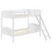 Five Star Furniture - Arlo Twin Over Twin Bunk Bed with Ladder White image