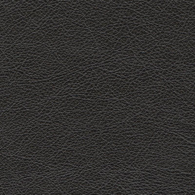 Five Star Furniture - Amiata Sofa - Five Star Furniture & Mattress (GA)