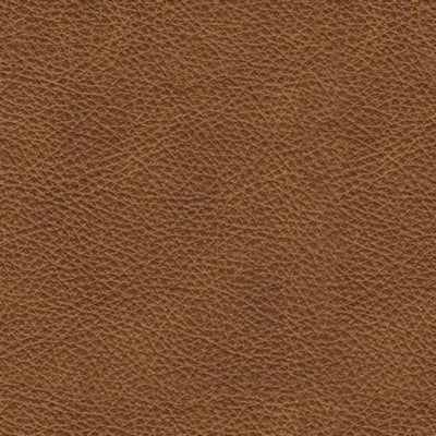 Five Star Furniture - Carianna Loveseat - Five Star Furniture & Mattress (GA)