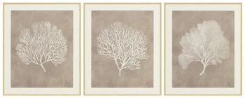 Five Star Furniture - Hendridge Wall Art (Set of 3)