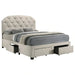Five Star Furniture - 