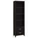 Five Star Furniture - Lewes 2-drawer Media Tower Cappuccino image