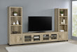 Five Star Furniture - Sachin 3-piece Entertainment Center With 79" TV Stand image