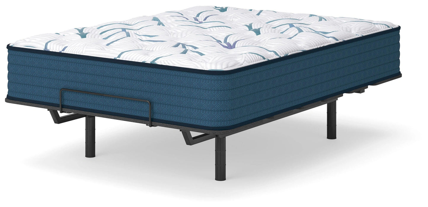 Five Star Furniture - Limited Edition Plush 3.0 Mattress