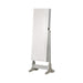 Five Star Furniture - Zayas Storage Jewelry Cheval Mirror White image