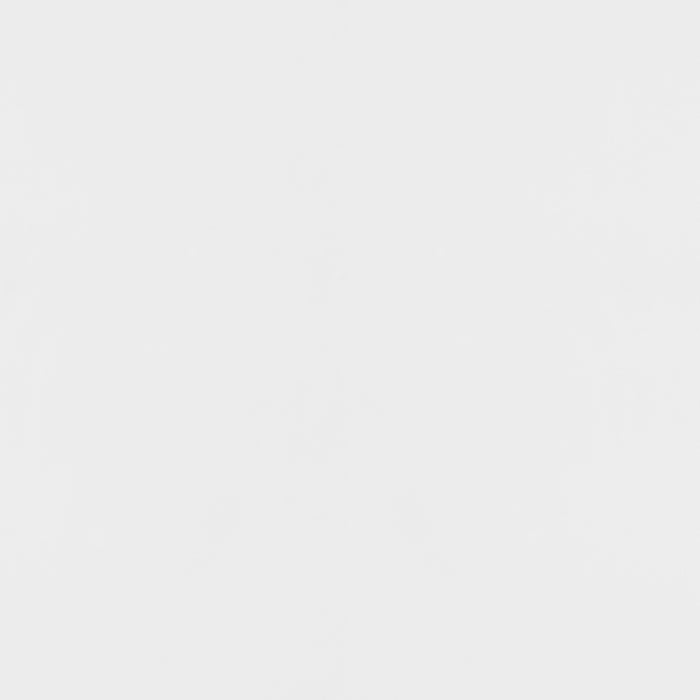 Five Star Furniture - Elsa 2-door Accent Cabinet with Adjustable Shelves White and Gold