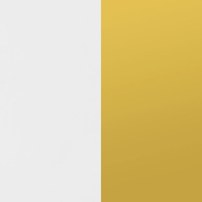 Five Star Furniture - Elsa 2-door Accent Cabinet with Adjustable Shelves White and Gold