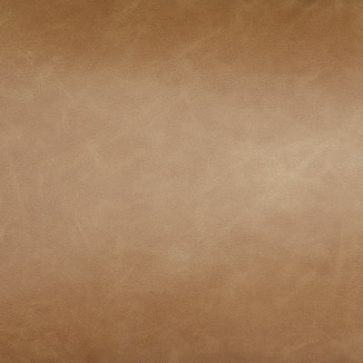 Five Star Furniture - Danvale Pillow (Set of 4) - Five Star Furniture & Mattress (GA)