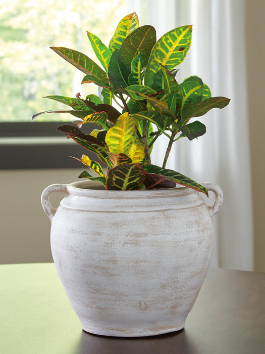Five Star Furniture - Meadie Vase