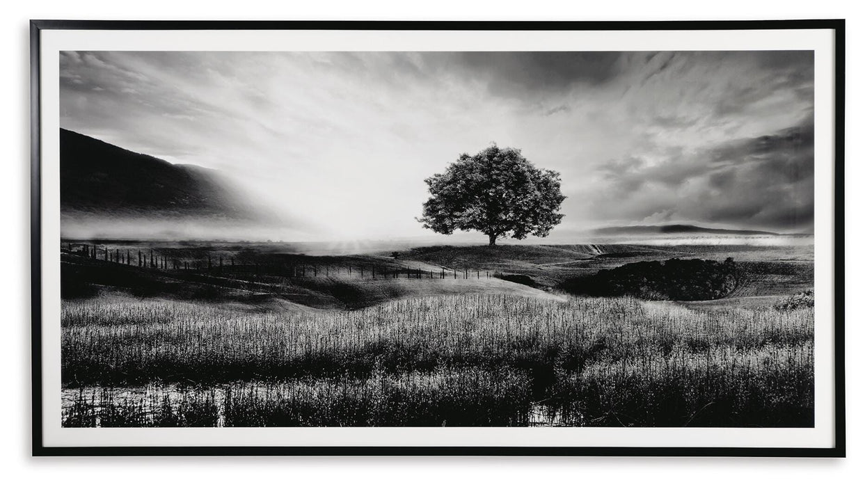 Five Star Furniture - Deborland Wall Art