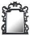Five Star Furniture - Acme Furniture House Delphine Mirror in Charcoal 28834 image