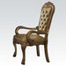 Five Star Furniture - Acme Dresden Arm Chair in Gold Patina (Set of 2) 63154 image