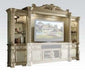 Five Star Furniture - Acme Vendome Entertainment Center in Gold Patina 91310 image