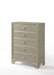 Five Star Furniture - Carine Champagne Chest image