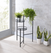 Five Star Furniture - Namid Black Plant Stand image