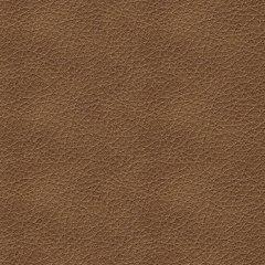 Five Star Furniture - Bolsena Sofa Sleeper