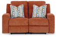 Five Star Furniture - Danum Reclining Loveseat image