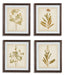 Five Star Furniture - Dyani Wall Art (Set of 4) image