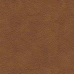 Five Star Furniture - Carianna Sofa - Five Star Furniture & Mattress (GA)