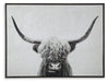 Five Star Furniture - Pancho Wall Art image