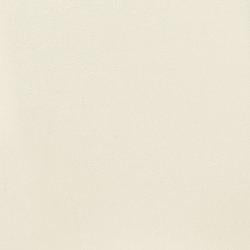 Five Star Furniture - Kimonte Dining Chair - Five Star Furniture & Mattress (GA)