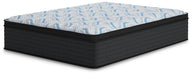 Five Star Furniture - Elite Springs Plush Mattress image