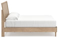 Five Star Furniture - Cielden Bed - Five Star Furniture & Mattress (GA)