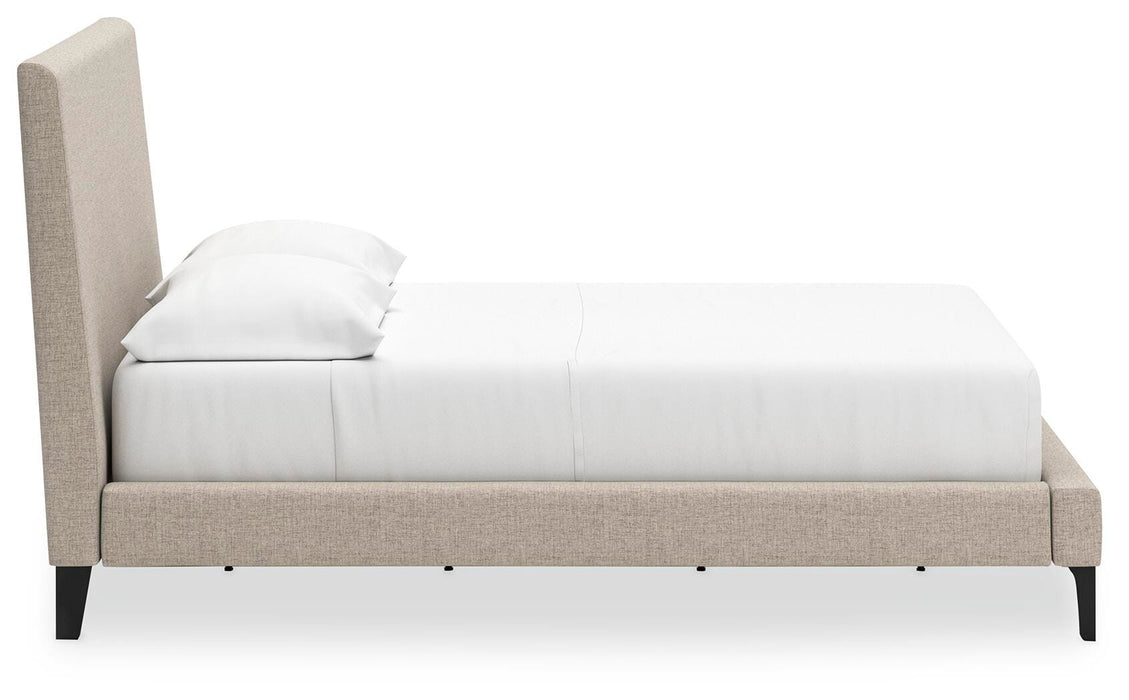 Five Star Furniture - Cielden Upholstered Bed with Roll Slats