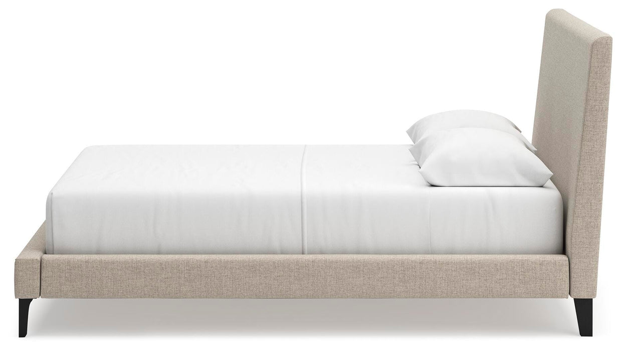 Five Star Furniture - Cielden Upholstered Bed with Roll Slats