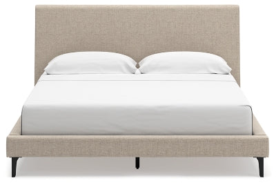 Five Star Furniture - Cielden Upholstered Bed with Roll Slats - Five Star Furniture & Mattress (GA)