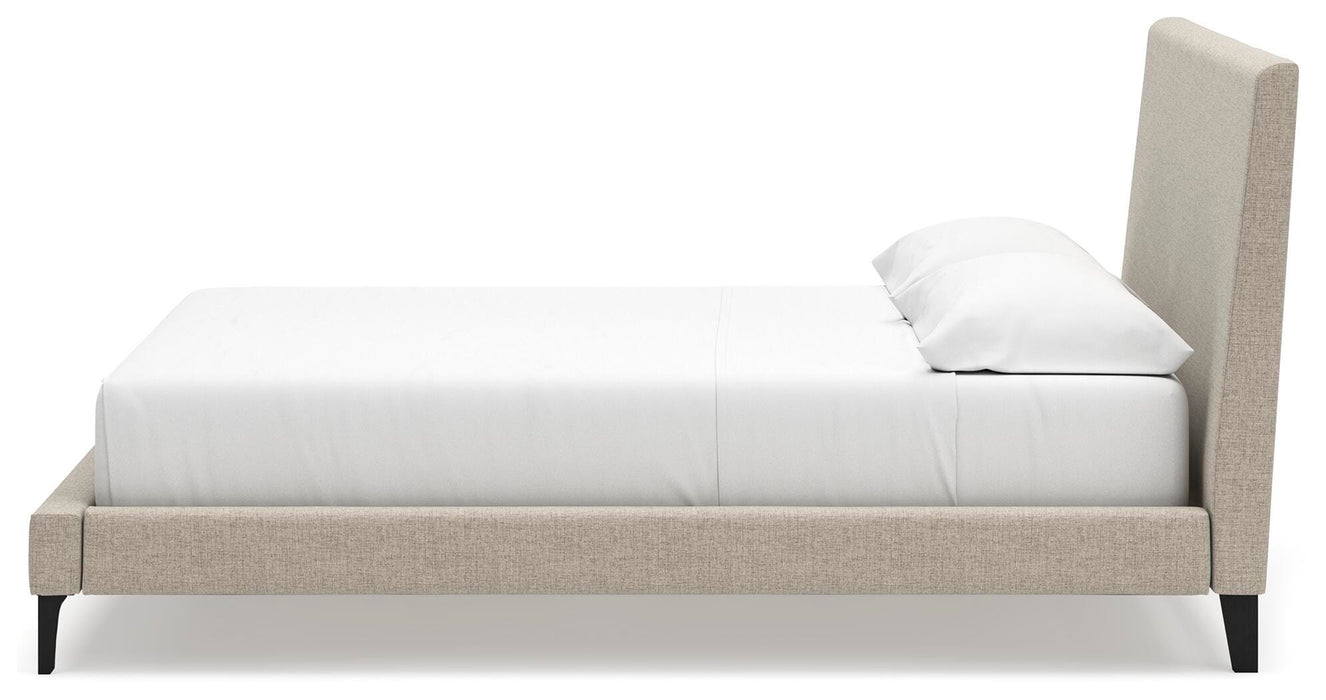 Five Star Furniture - Cielden Upholstered Bed with Roll Slats