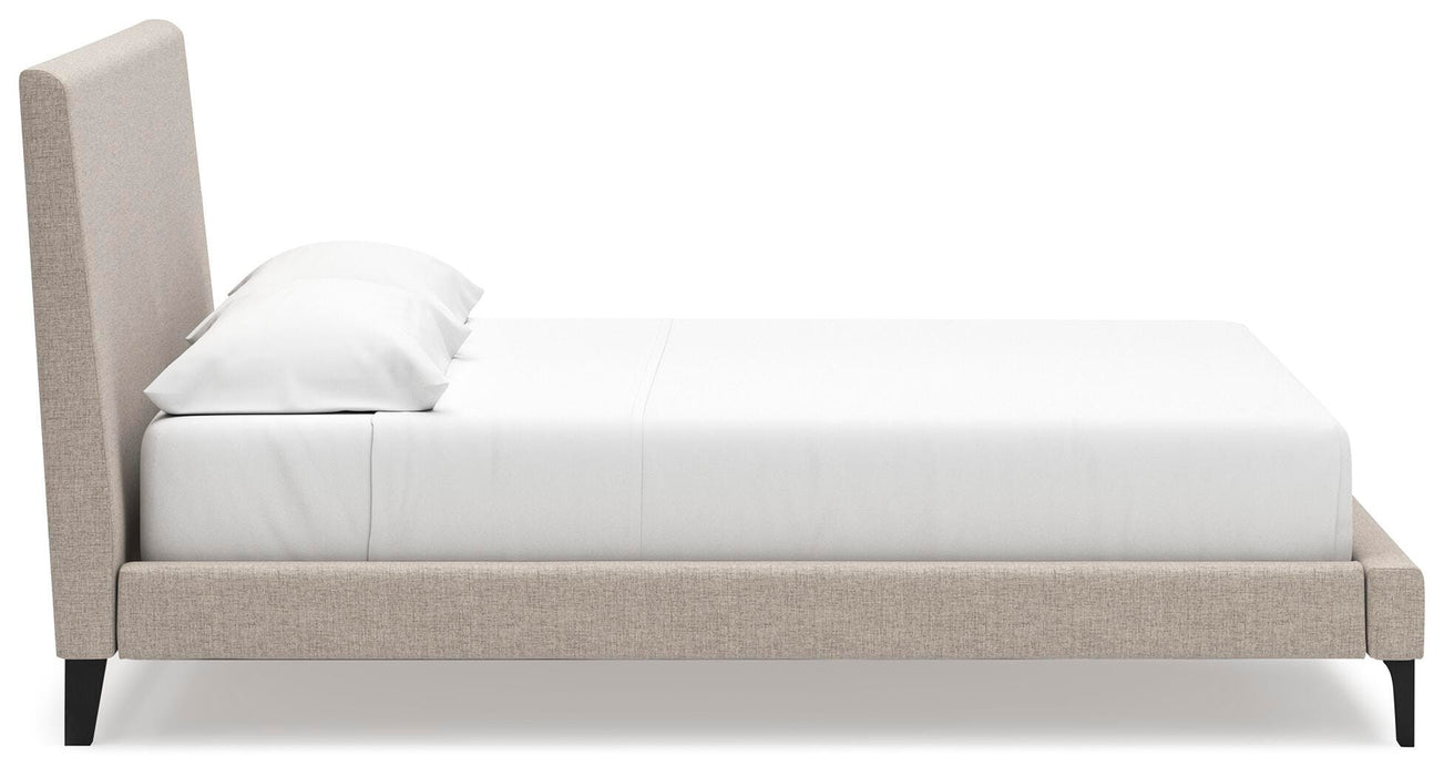 Five Star Furniture - Cielden Upholstered Bed with Roll Slats