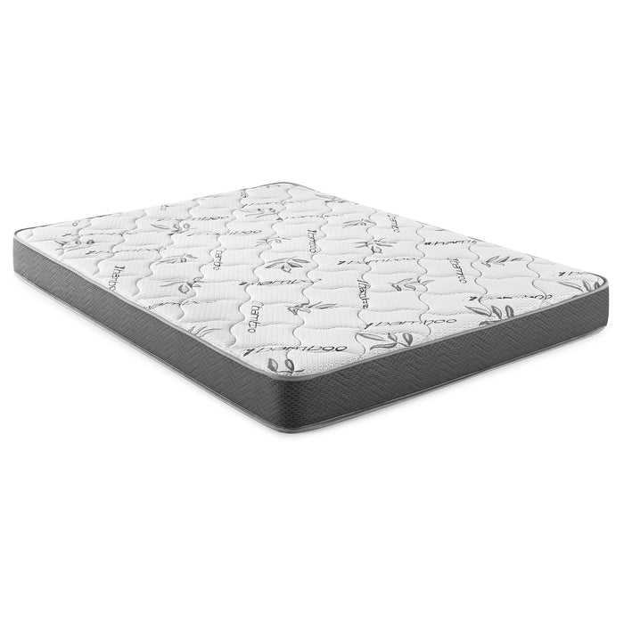 Five Star Furniture - Kenyon Firm Tight Top Foam Mattress