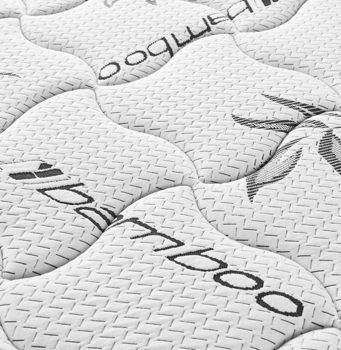 Five Star Furniture - Kenyon Firm Tight Top Foam Mattress